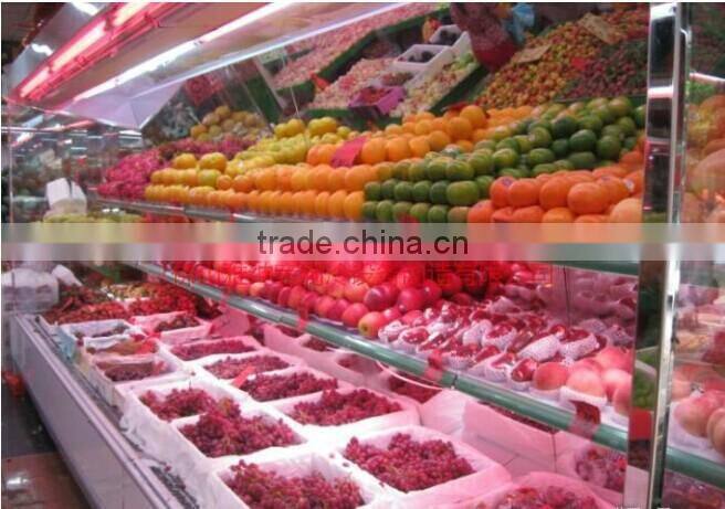 ONN-X1B Cooler Door LED Light/Led Freezer Lighting/Strip LED Lighting For Refrigerator