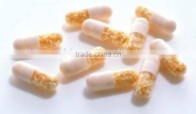 Capsule Filling Equipment