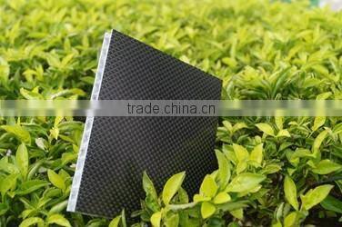 Custom Carbon Fiber Sandwich plate