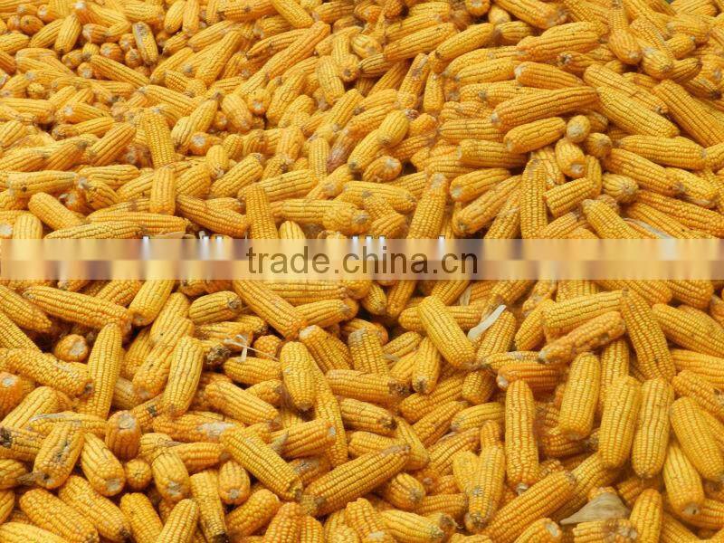 2014 high-tec mini corn harvester 0086 15838061756