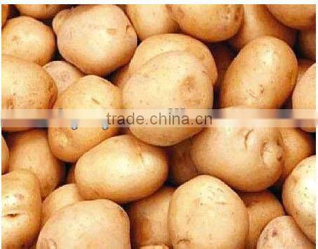 professional coal briquettes bagging machine automatic packing