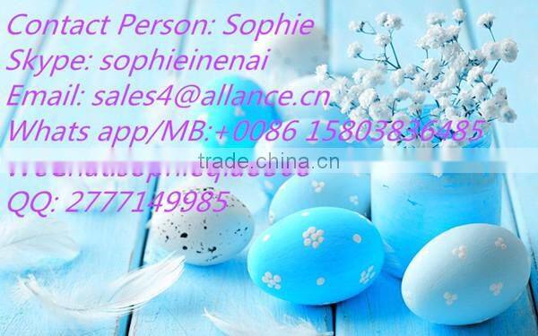 world popular hot selling hemp seed oil extraction machine price in China + 86 15803836485