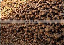 New design wood drum chipper made in China