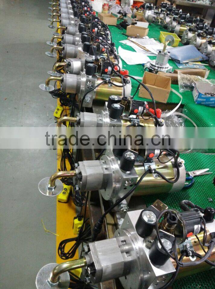 DC12V/24V Double Acting Hydraulic Power Pack for Sale