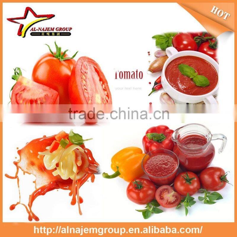 Best sale tomato sauce making machine tomato sauce filling machine