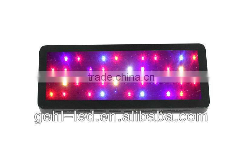 LED Grow Lamps for Indoor Growing Tomatoes