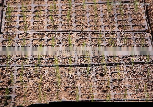 Professional manufacturer High reflective fodder growing trays