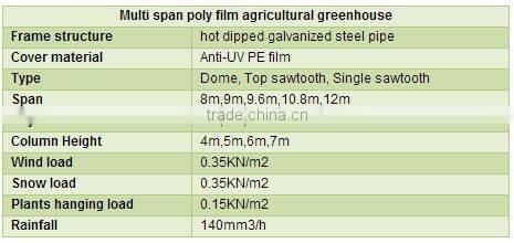 Multi Span Tunnel PE Plastic Film Hydroponic Systems Agricultural Commercial Greenhouse