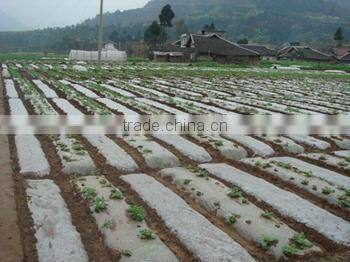 PE plastic covering film for agricultural/construction