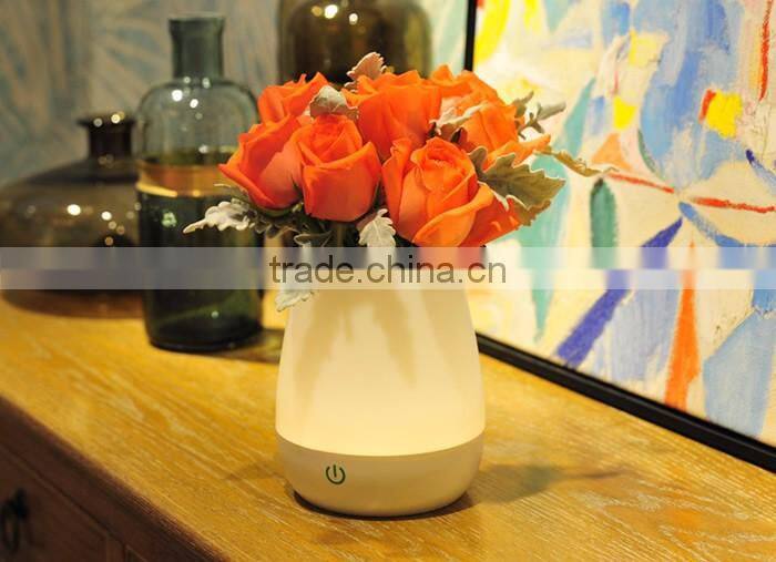 LED Table Vase Lamp with Built-in Lithium Battery