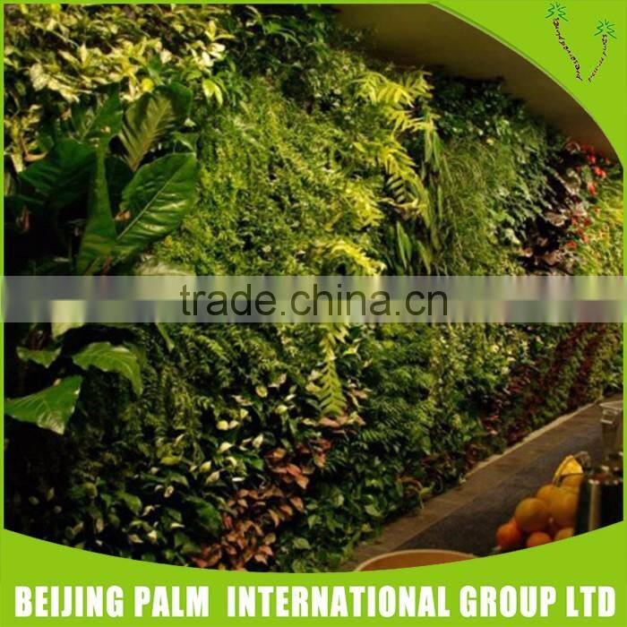 Landscaping Garden Green Wall Hanging Green Wall System Planters For Gardon Ornaments