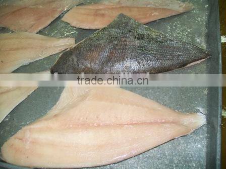 frozen brama fillet
