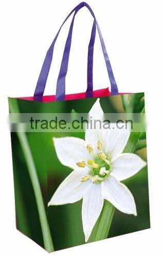 Non Woven Promotion Bags with Solid cmyk printed + Gusset printed