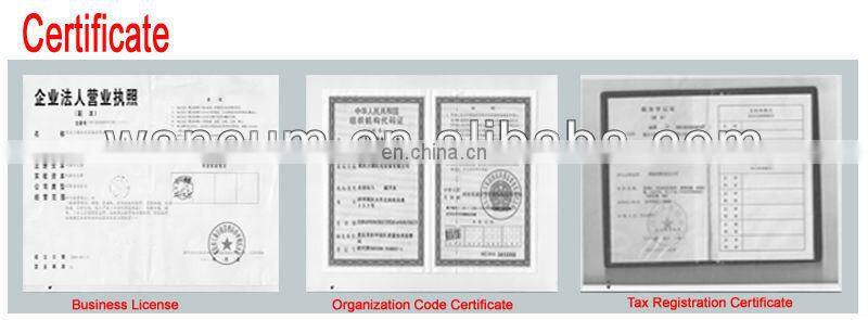 diesel engine nta855 kta19 kta38 kta50 m11 injector