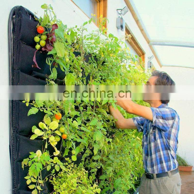 Green wall grow felt bag for garden