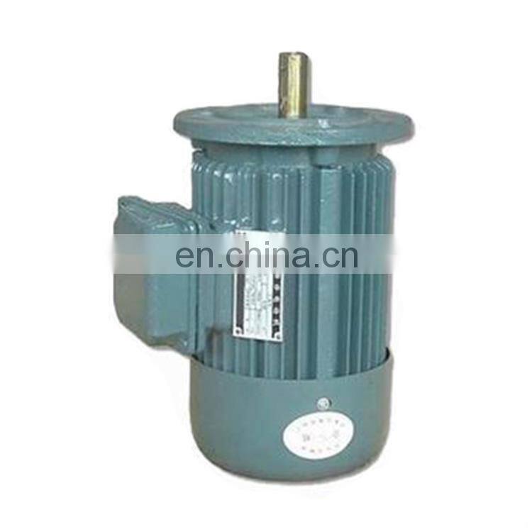 y3 series three phase slow speed electric motor