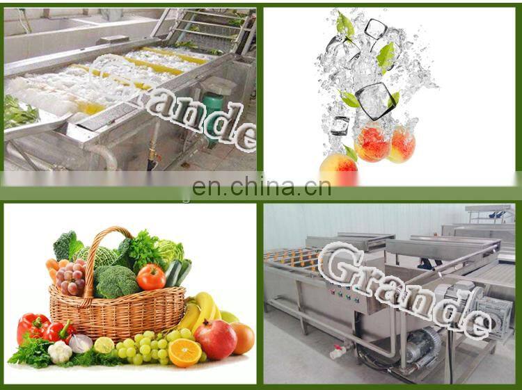 500kg/h Industrial Automatic Fruit Washer Dryer Vegetable Washing Machine Basil Bubble Washing Machine
