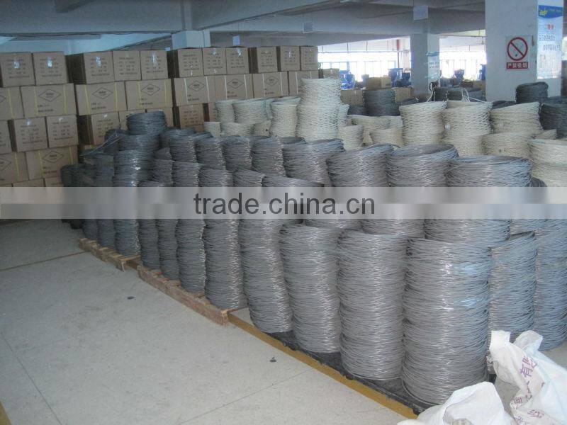 Cat5e Patchcord from Professional Manufacturer