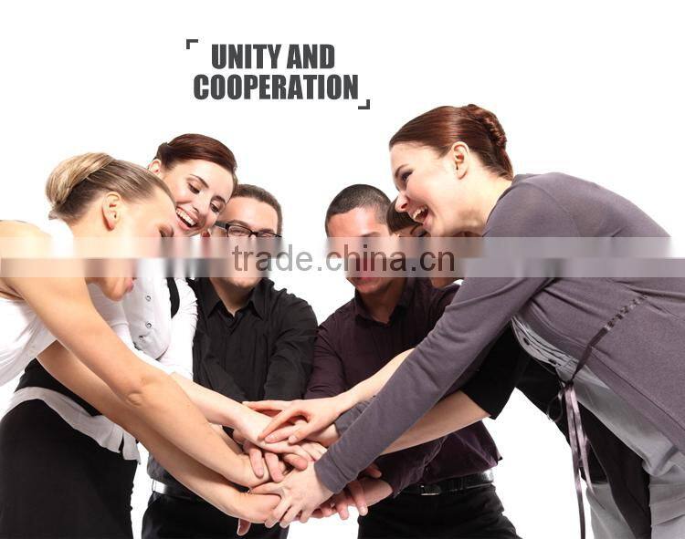 DM-16 Portable skin and hair Scalp detector