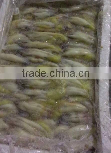 Frozen Illex Squid Roe