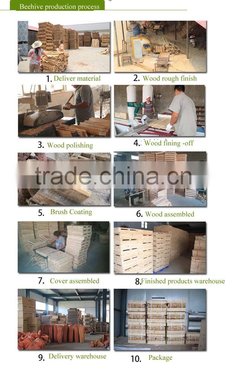 beekeeping tools honey collecting knife bee feeder