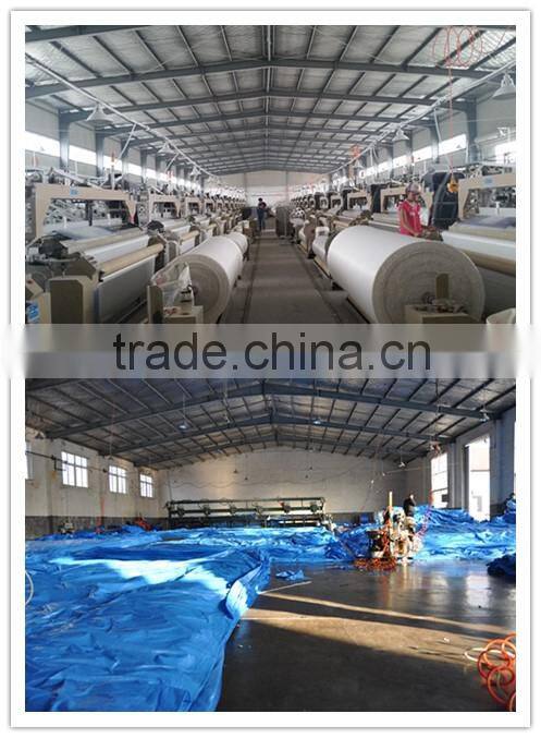 China made pe tarpaulin blue tarp with 6x6 mesh