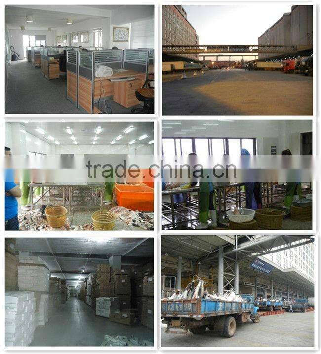 Frozen canned mackerel fish in brine 425g