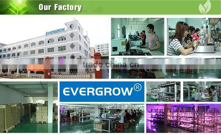 560W LED Grow Light Red Blue White Full Spectrum For Hydroponic Plant