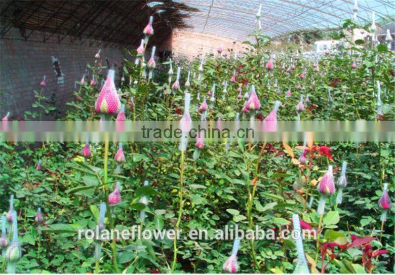 Cheap wholesale diamond cutting disc 230mm cutting board key cutting machine with 1kg/bundle from Yunnan, China