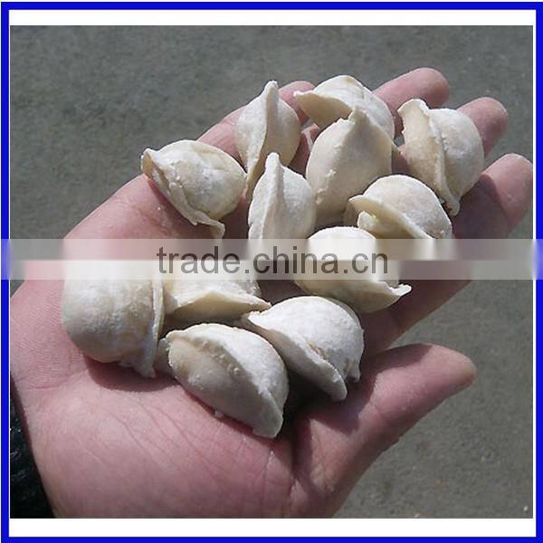 jGL120 Commercial Samosa Machine