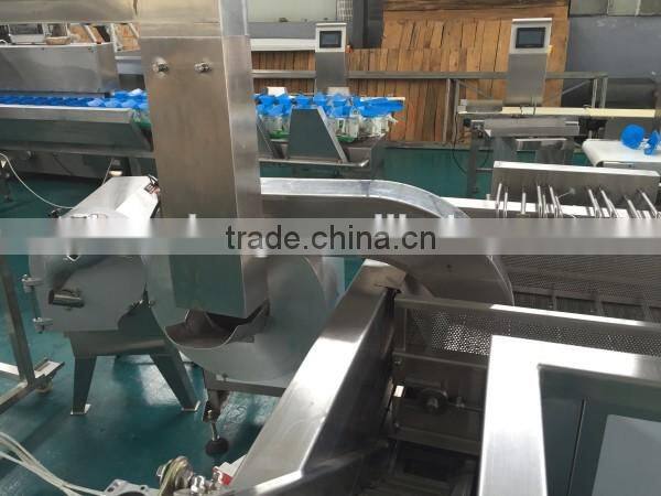 full automatic potato chips production line