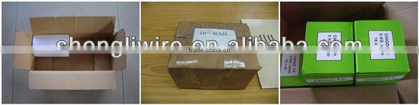 common iron nail (factory)