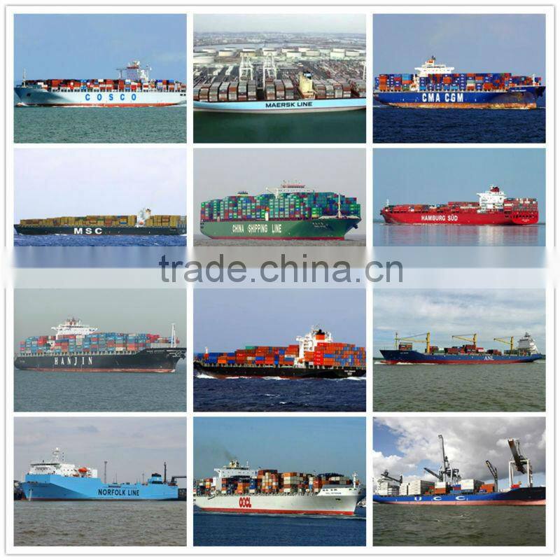 OCEAN SHIPPING FROM SHENZHEN TO MELBOURE BY LCL SERVICE---Sulin