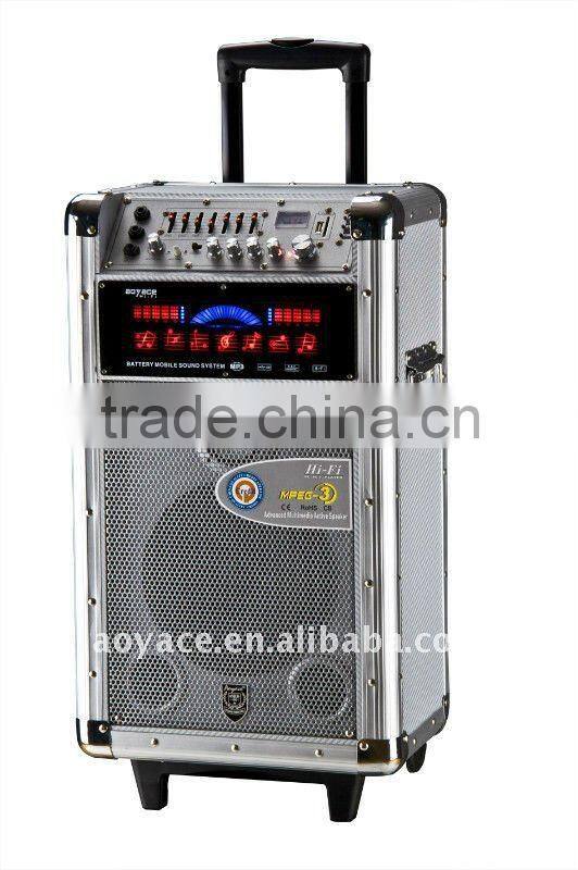 10" portable speaker