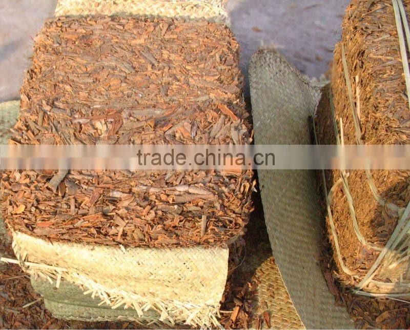 chinese spicy Cassia whole