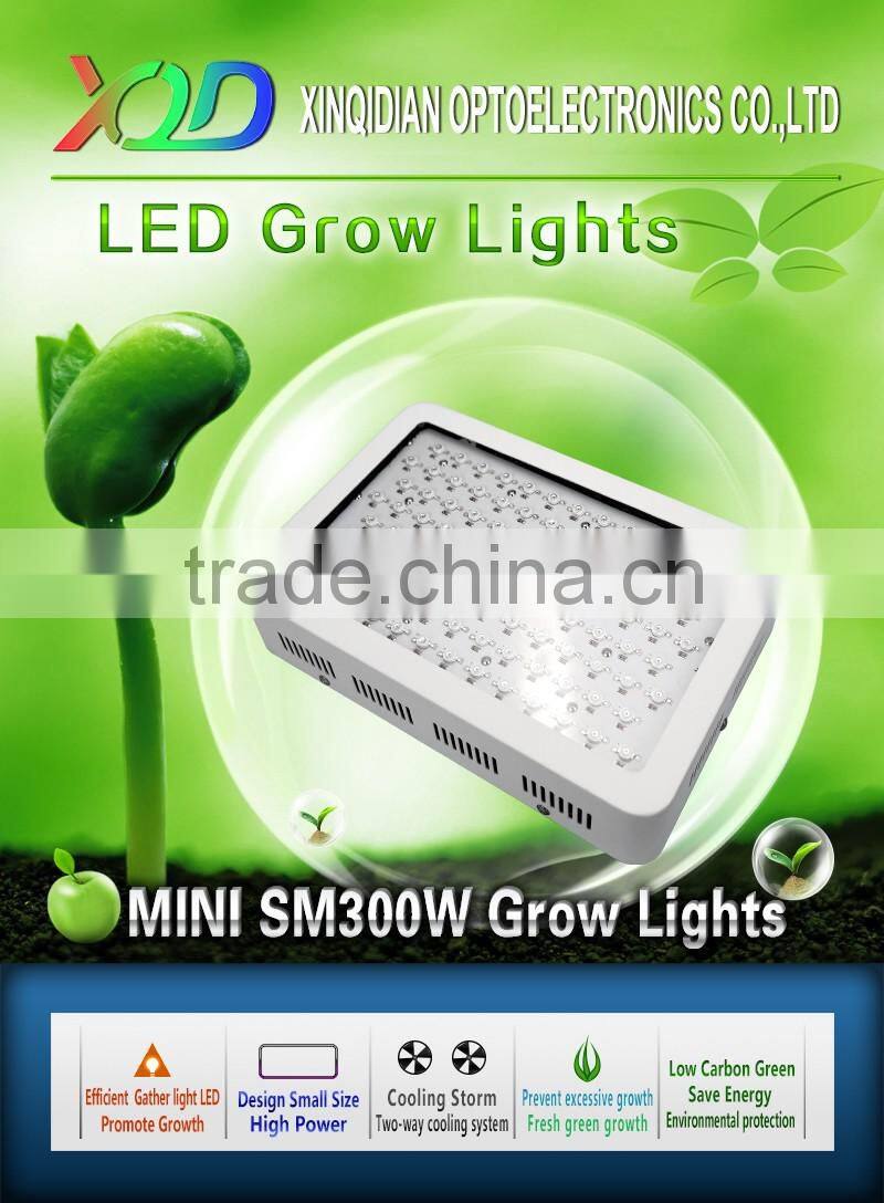 UV Red Blue indoor hydroponic 300w led grow lamp
