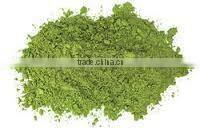 STAVIA POWDER INDIAN TULSI POWDER