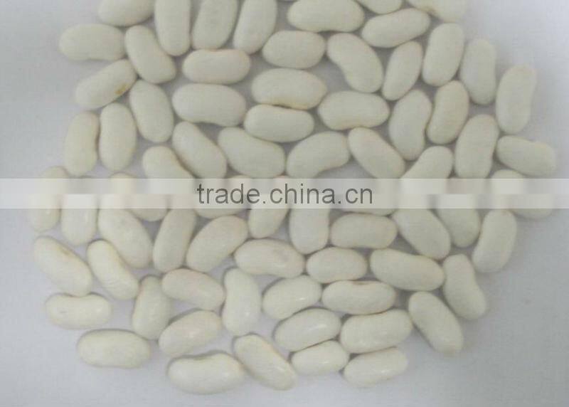 white kideny beans ( sizes 180-200 / 200-240/ 240-260)