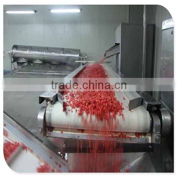 Haccp frozen IQF strawberry Gade A 15-- 25mm,25--35mm