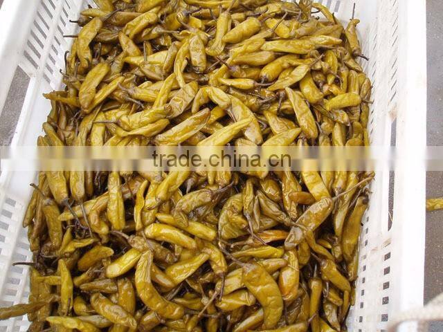 Good quality canned pickle green chili pepper