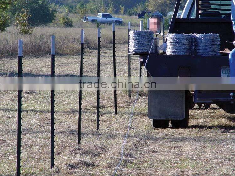 Bitumen Painted Green Color Studded T Post