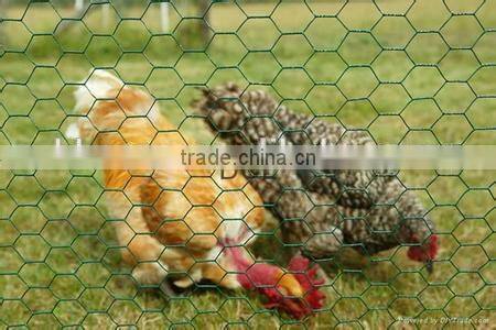 Low cost hexagonal netting /chicken wire mesh/ poultry hexagonal netting for sale