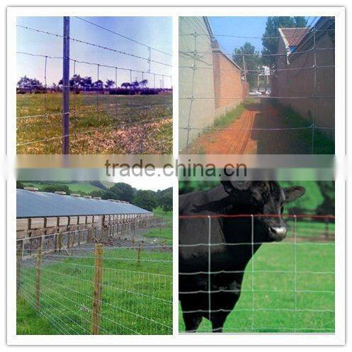 galvanized steel deer fence (ISO9001)