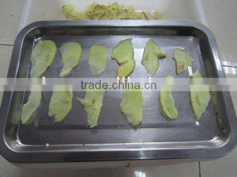 China supply YSP-10 automatic ginger slicing machine garlic slicer ginger garlic slicing cutting machine for root vegetables