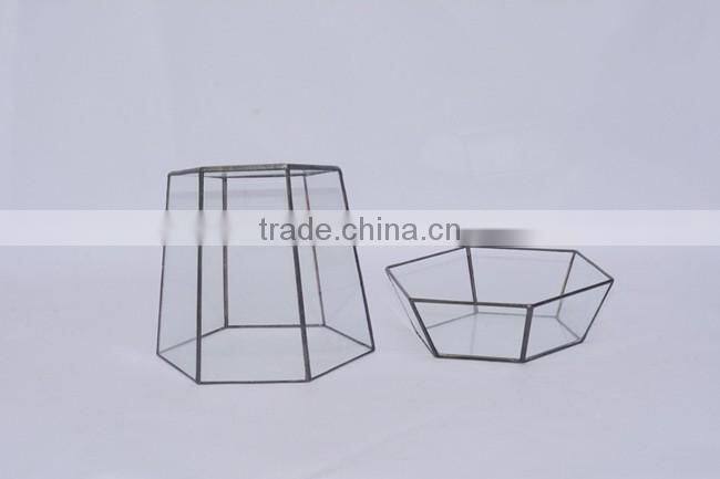 Micro Landscape Geometric Air Plant Succulent Glass Container Vase Pot Terrarium