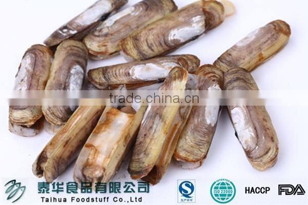 Season for Sale Frozen Razor Clam in Fresh Seafood