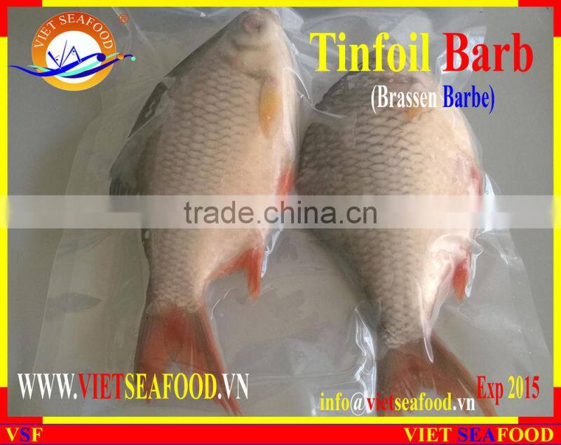 FROZEN W/R RED TAIL TINFOIL BARB