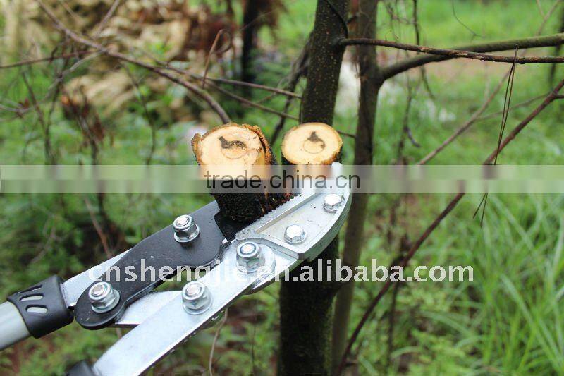 telescopic anvil lopper (GS certified)