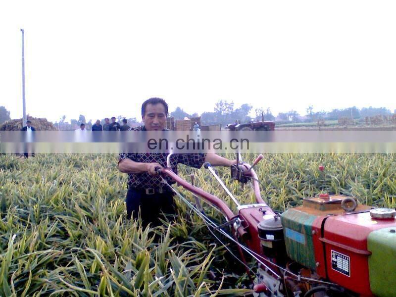 Mini Diesel Ginger/Potato/Cassava/Carrot/Sweet Potato/Olive Harvesting Machine