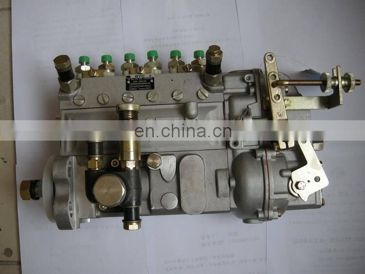 Weichai DeutzTBD226B-6 Engine Injection Pump 13021363 120KW Pump CRSV450...750AD0C208R